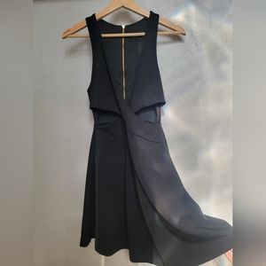 Express Skater Dress